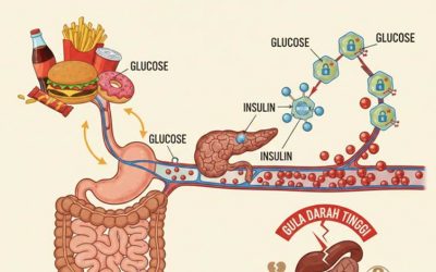 Junk Food, Gula Darah, dan Diabetes: Apa Kata Biokimia?