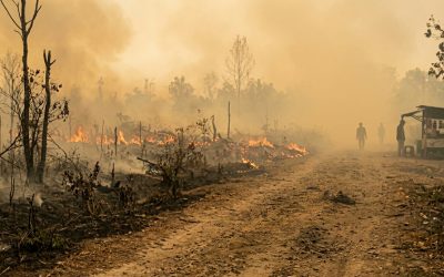 Asap Kahutla dan Ancamannya bagi Kelompok Rentan